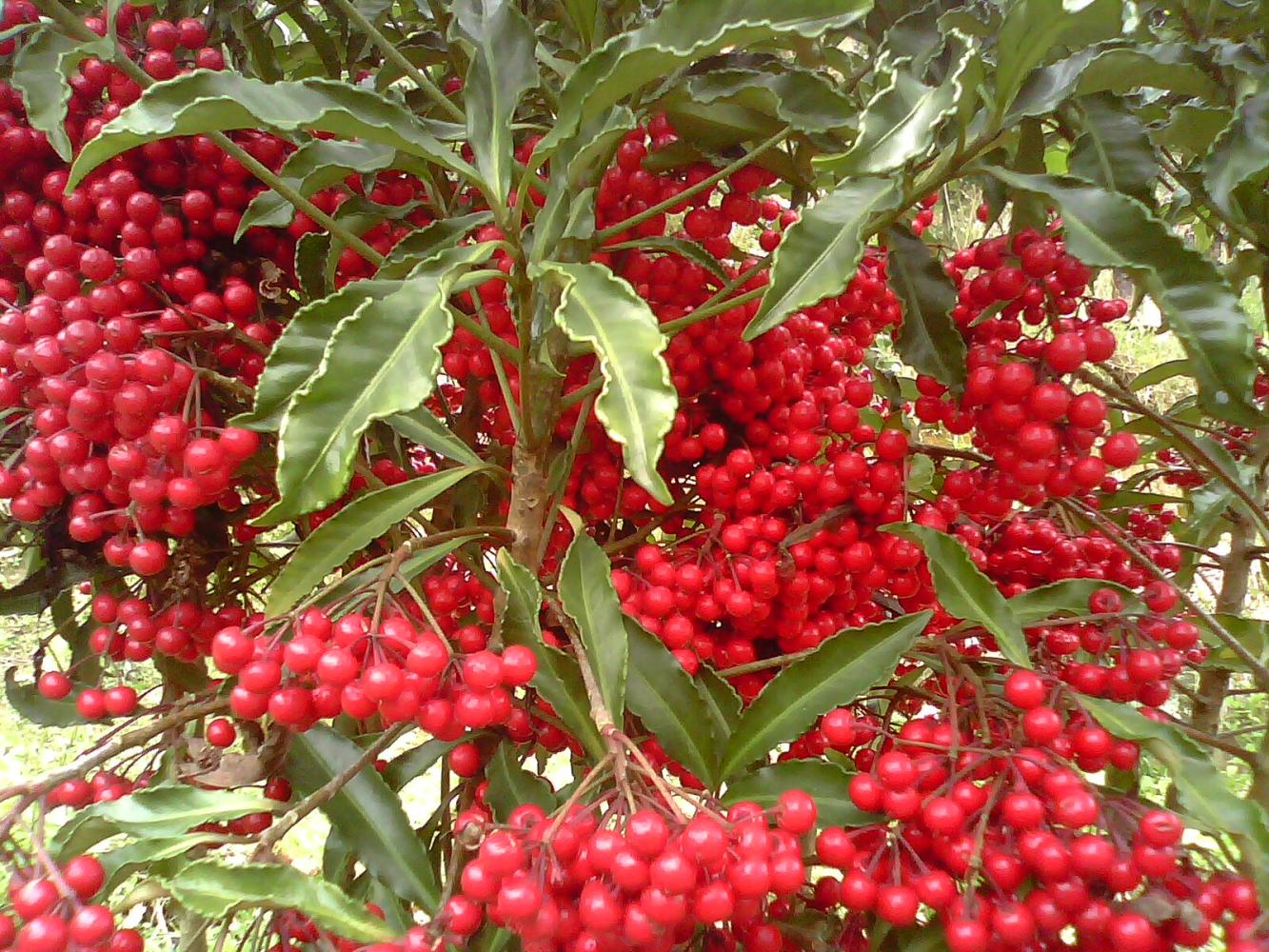 JDB电子(中国区)·官方网站