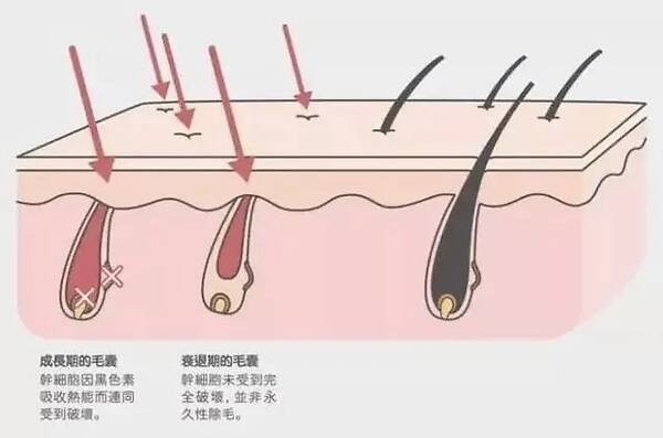 余承东：华为6G已在研发中 还需要10年：JDB电子(中国区)·官方网站