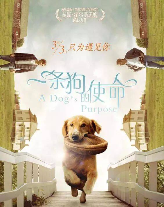 JDB电子(中国区)·官方网站