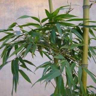 第6505章 子子孙孙无穷尽焉：JDB电子(中国区)·官方网站