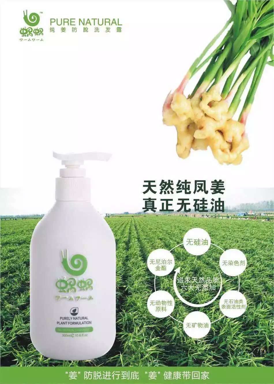 JDB电子(中国区)·官方网站