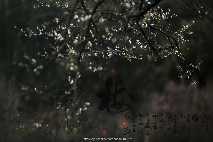 JDB电子(中国区)·官方网站