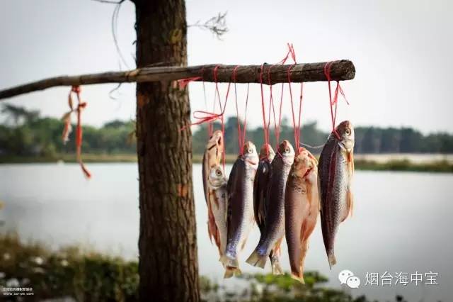 JDB电子(中国区)·官方网站